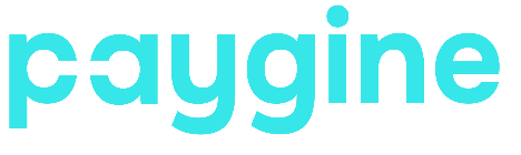 Paygine процессинговый центр